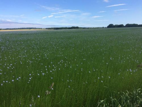 Bed & Breakfast Chambre D'h�te El Dorado