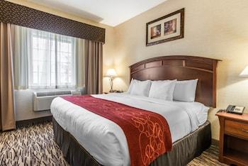 Hotel Comfort Suites Golden West On Evergreen Parkway
