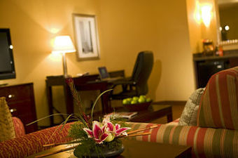 Hotel Minneapolis Marriott West