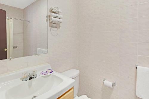 Motel Knights Inn Pine Brook