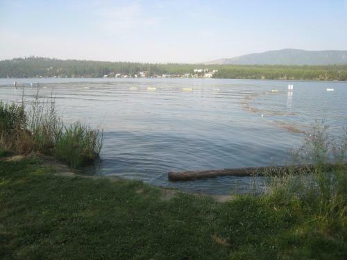 Willow Bay Rv Resort & Marina