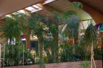 Hotel Douglas Inn & Conference Center