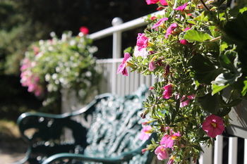 Hotell Danderyds G�steri