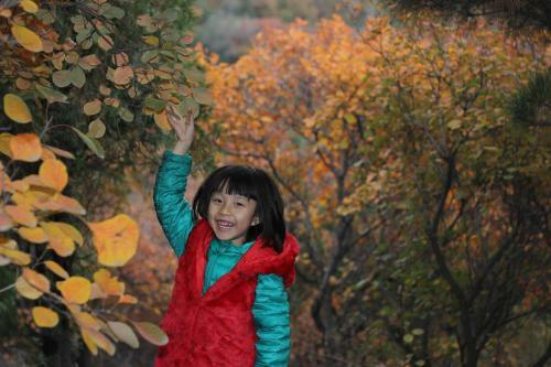 Agroturismo Beijing Badaling Great Wall Cao?s Courtyard Hostel