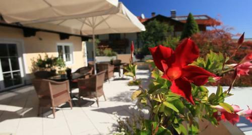 Aparthotel Residenz Theresa