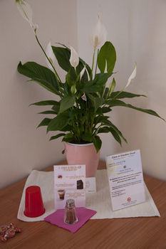 Bed & Breakfast Casa Al Giardino Giusti