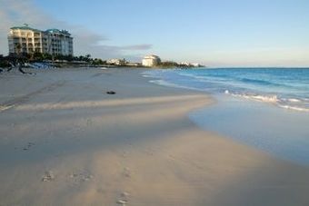 Hotel Ports Of Call Resort
