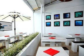 Hotel Sea Horse Guest House