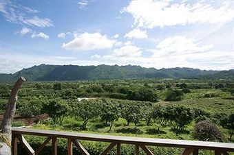 Hotel Patravana Resort