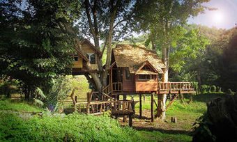 Hotel Rabeang Pasak Treehouse Resort