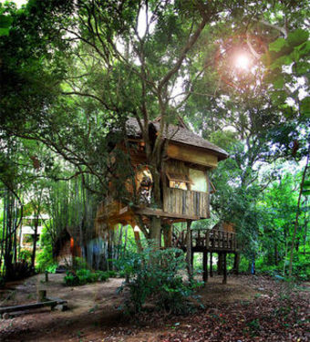 Hotel Rabeang Pasak Treehouse Resort