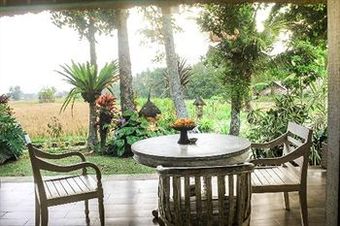 Cabana Uma Sari Rice Terrace