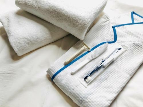 Comfort Hotel Himeji
