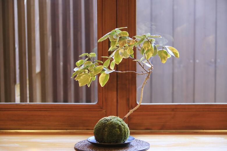 Fuji Onsenji Yumedono