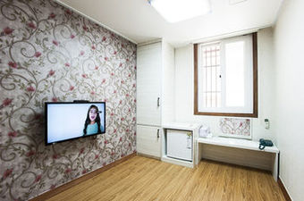 Hotel Myeongdong Eco House