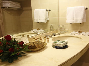Hotel Plaza Del Bosque