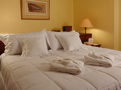 Hotel Plaza Del Bosque