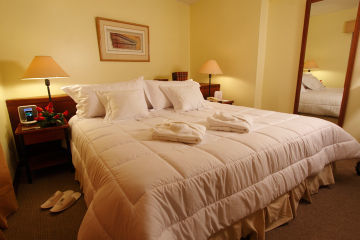 Hotel Plaza Del Bosque