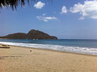 Machele' S Place Beachside Hotel & Pool