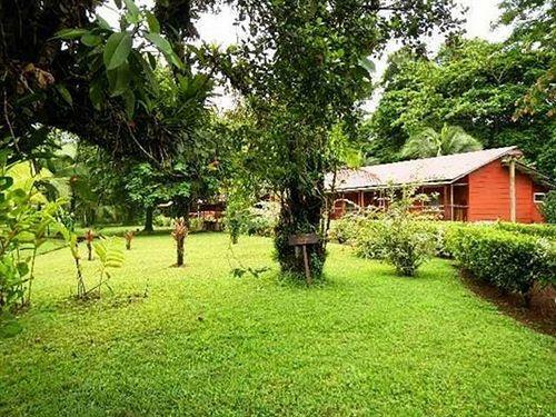 Posada Caribbean Paradise Eco-lodge