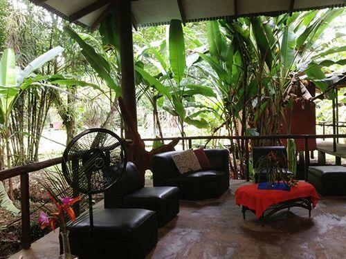 Posada Caribbean Paradise Eco-lodge