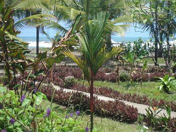 Cabinas El Icaco Tortuguero - Hostel