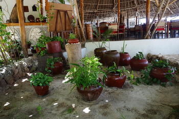 Casa Del Mar Hotel Zanzibar