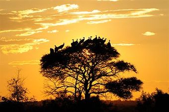Posada Morokolo Game Lodge