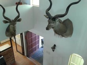 Hotel Kalahari Guest House