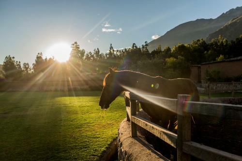 Hotel Sol Y Luna - Relais & Chateaux