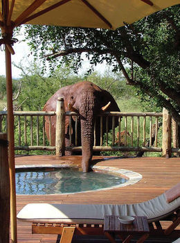 Posada Etali Safari Lodge