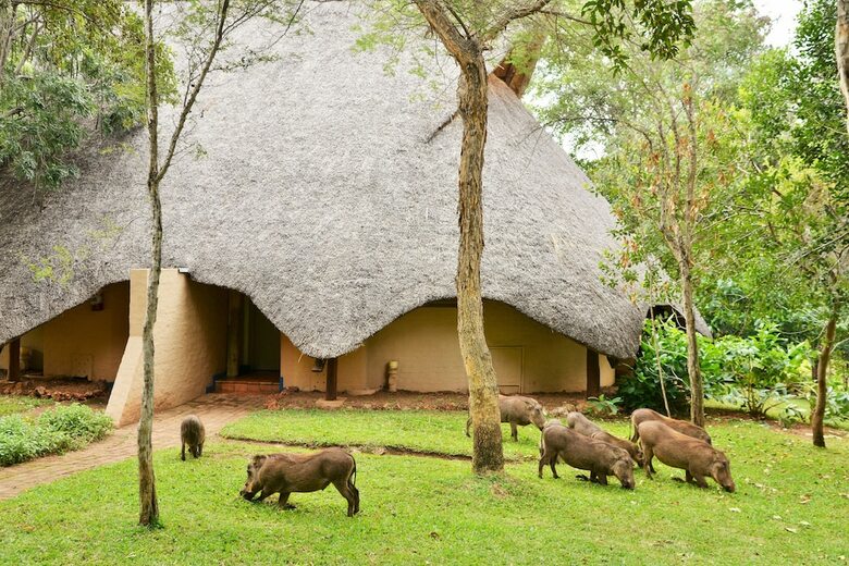 Posada Lokuthula Lodges