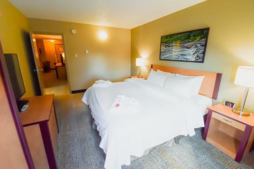 Hotel Canad Inns Destination Centre Windsor Park