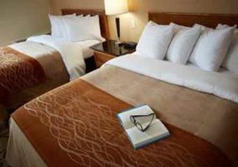 Hotel Comfort Inn Prince Albert