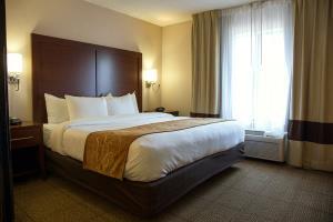 Hotel Comfort Suites Fultondale
