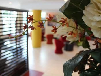 Hotel Ibis Newcastle