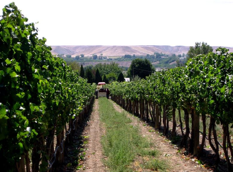 Hotel Wine Country Inn Palisade