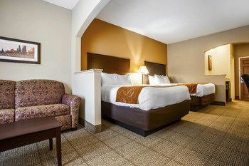 Hotel Comfort Suites Springfield
