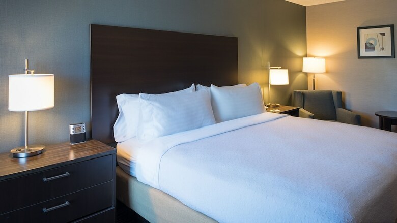 Hotel Holiday Inn St. Paul Downtown
