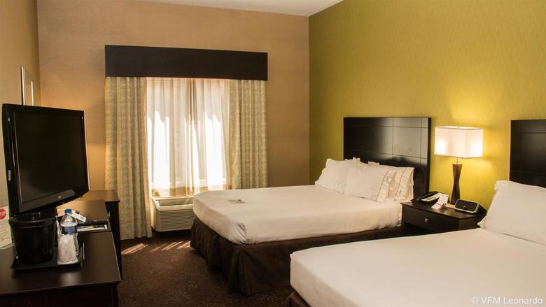 Hotel Hampton Inn & Suites Saginaw