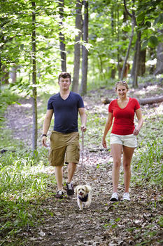 Hotel Salt Fork Lodge And Conference Center