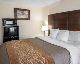 Hotel Comfort Inn And Suites