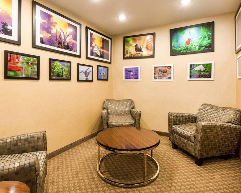 Hotel Comfort Inn And Suites Winnie