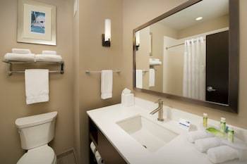 Hotel Holiday Inn Express & Suites Waco South