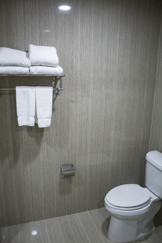 Hotel Hawthorn Suites By Wyndham Mcallen