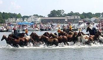 Hotel Best Western Plus Chincoteague Island