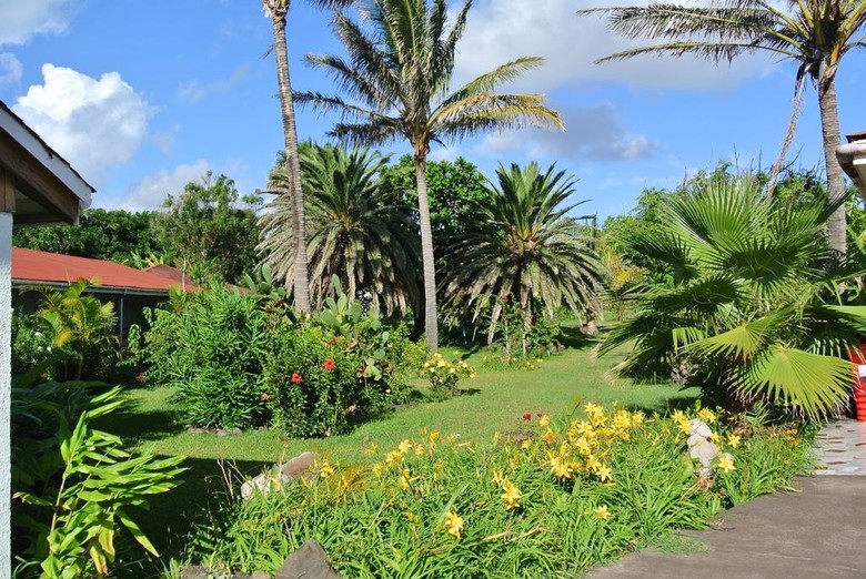 Hotel Iorana