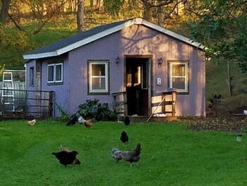 Rainbow Ridge Farms Bed And Breakfast
