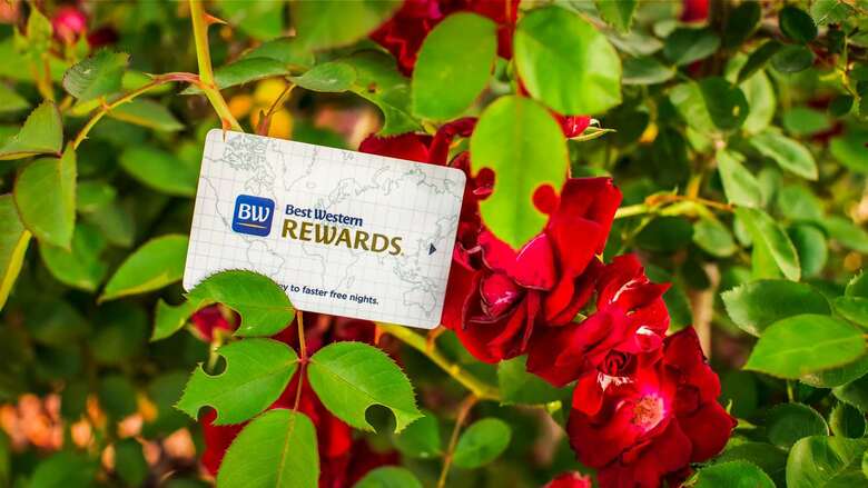 Hotel Best Western Garden Inn