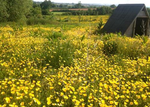 Agroturismo Huntstile Organic Farm